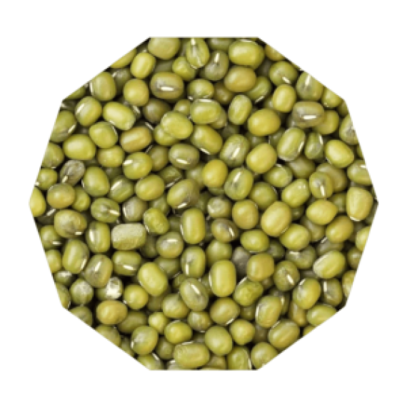 Mung Beans Image