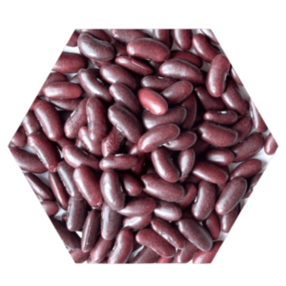 Dark Red kidney Beans Image