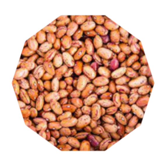 Cranberry Beans Image