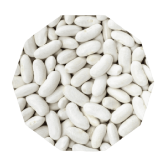 Alubia Beans Image