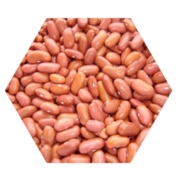 Light Red Kidney Beans Image