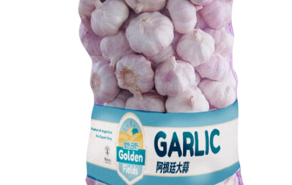 Garlic caption #3