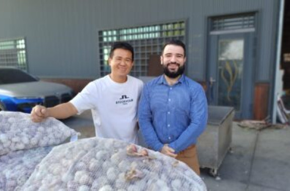The First Garlic of The Season Has Arrived to Taiwan